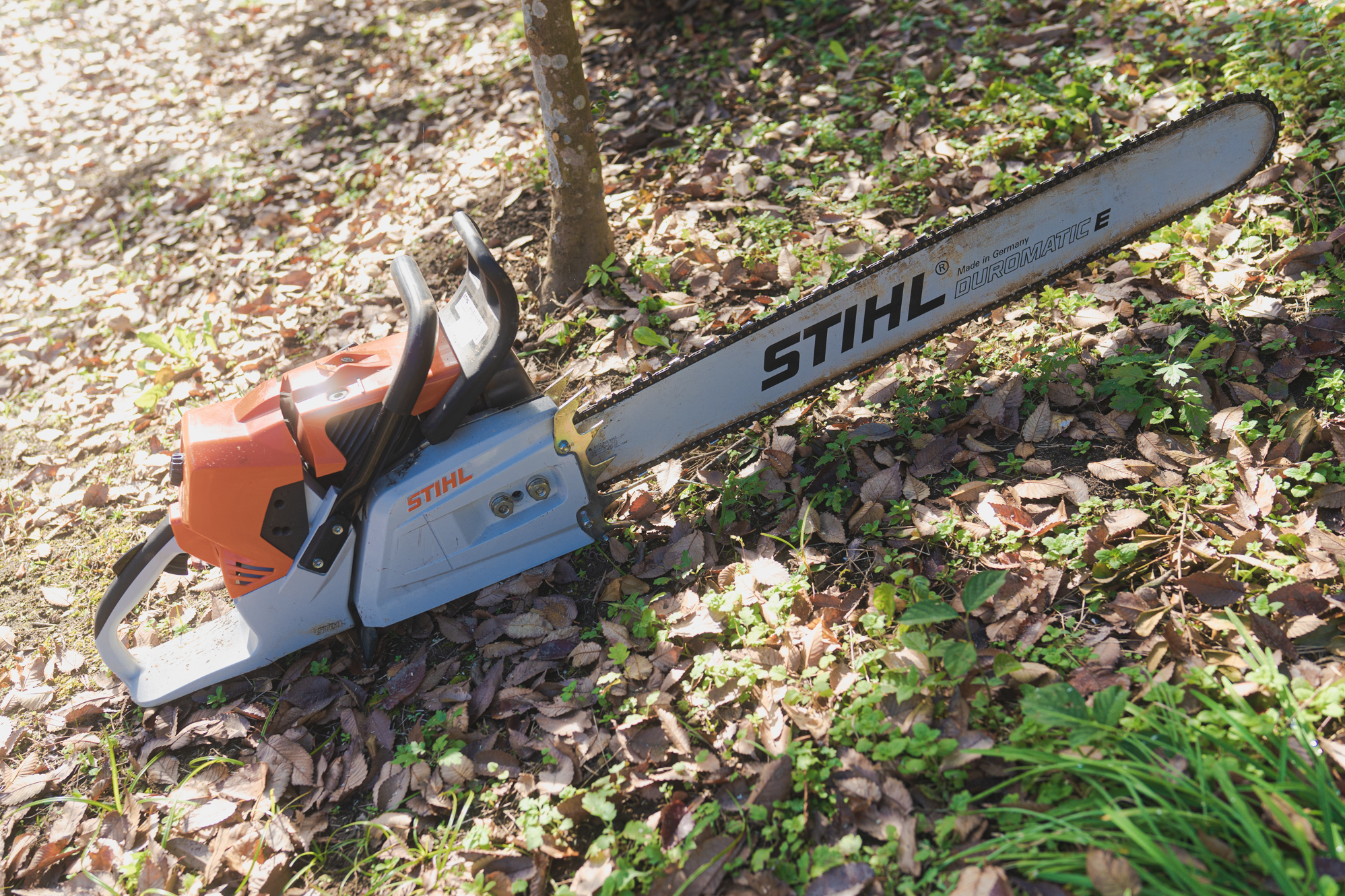 資格取得支援します